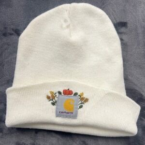 Carhartt Beanie Watch Hat Unisex OSFA White Pumpkin Fall Embroidered A18-WWH
